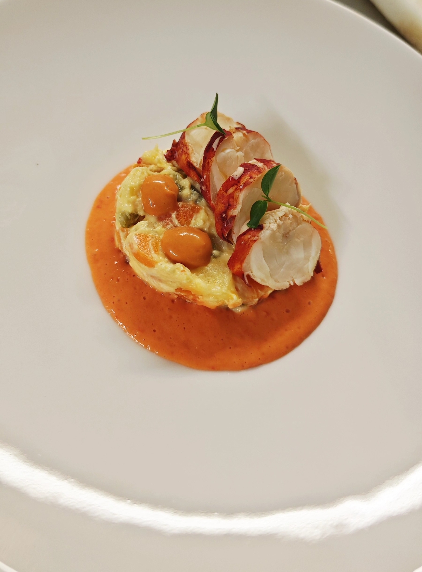 Plato 5